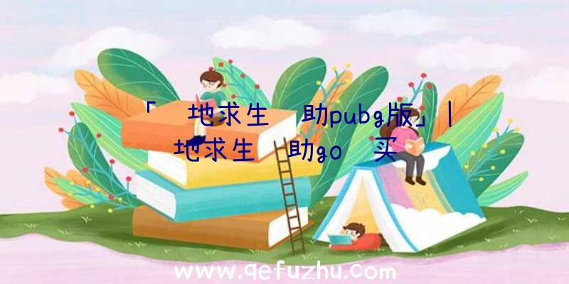 「绝地求生辅助pubg版」|绝地求生辅助go购买